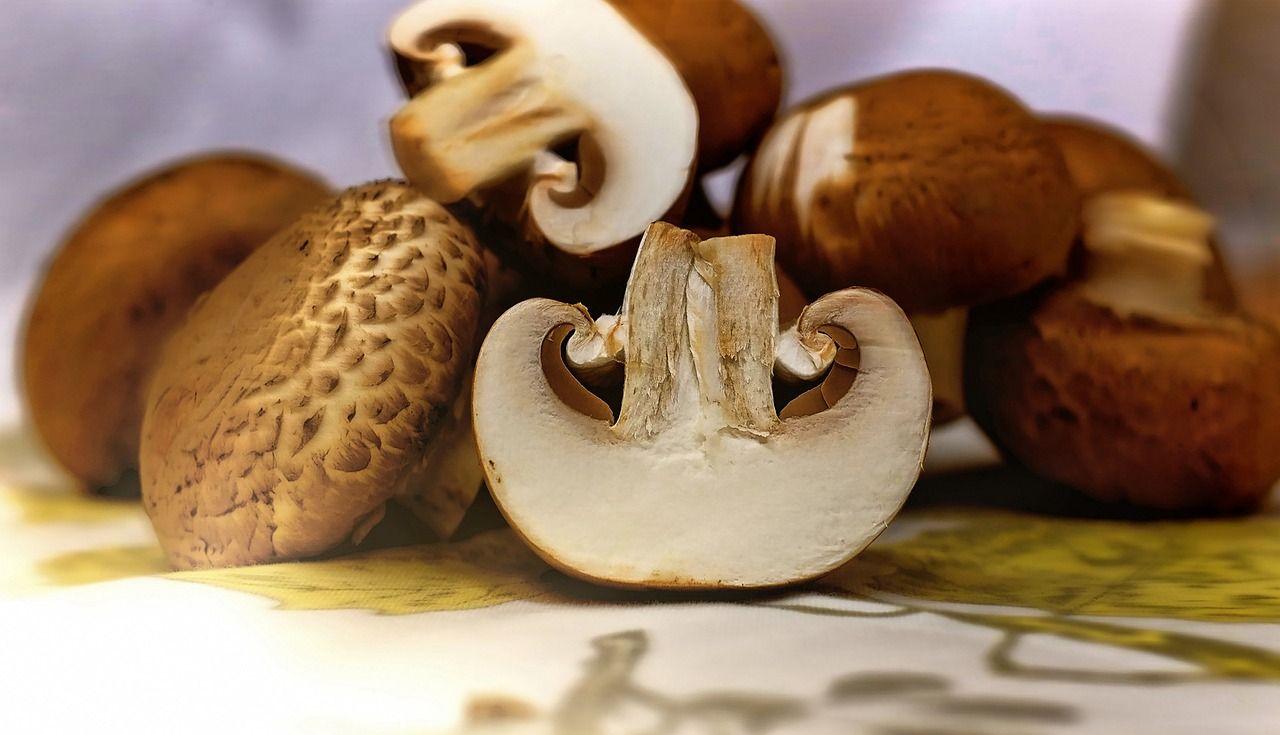Mushroom and Walnut Pate